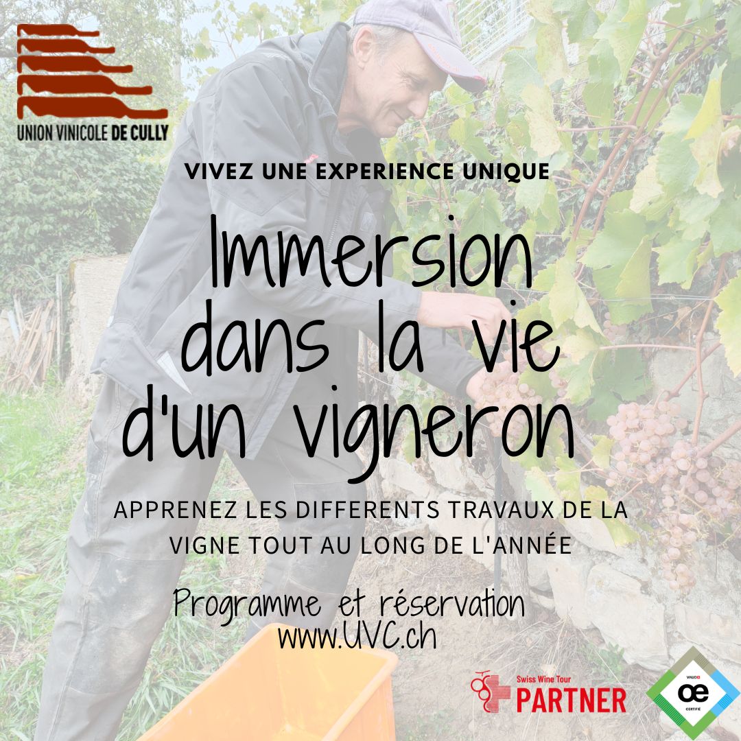 Wine tourism: unique experience, immersion with a winemaker!